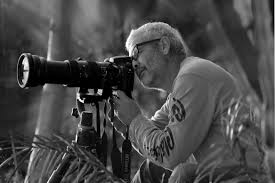 Photographer taking pictures